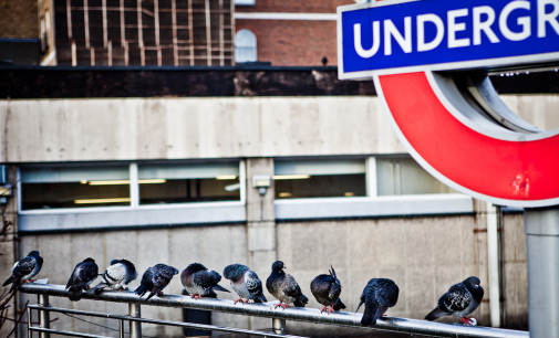 Londres, un destino común para muchos jóvenes españoles