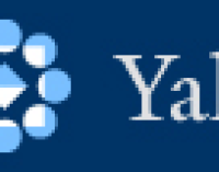 Yale SOM ficha profesores de IE y de Wharton