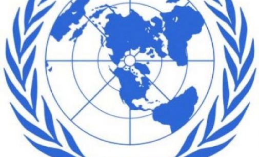 La ONU busca jóvenes titulados españoles